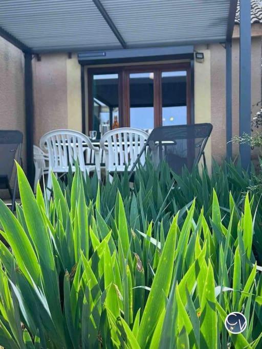 Apartamento St-Germain - Les Terrasses De L'Ardeche - Piscine Salavas Exterior foto